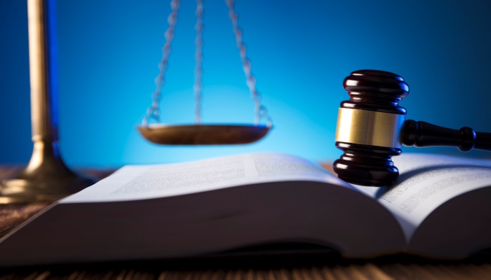 图片[2]-环境卫生问题向哪个部门投诉最有效-游法云